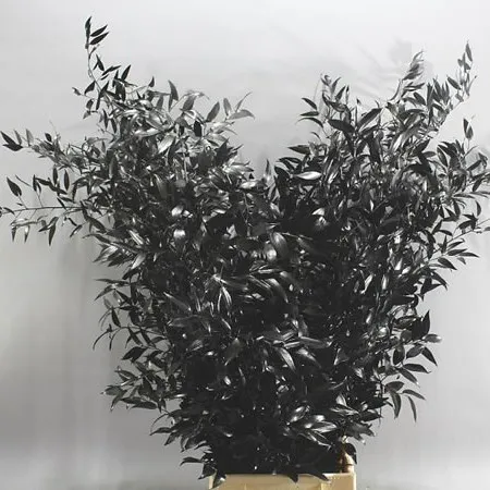Dyed Ruscus image