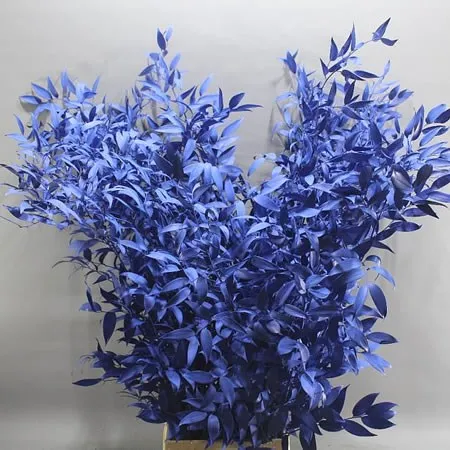 Dyed Ruscus image