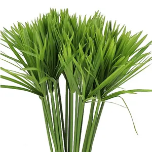 Papyrus image
