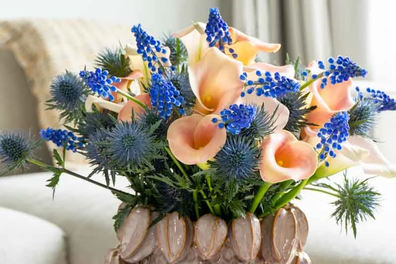 Exotic Tropical Flowers